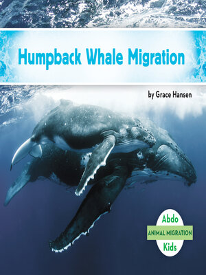 cover image of Humpback Whale Migration